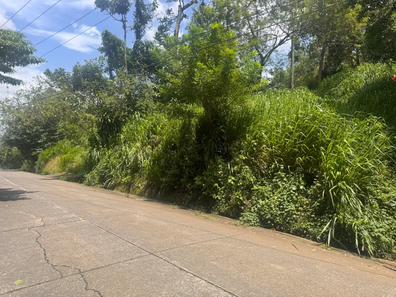 Fotografía 1 de Remate bancario de lote en La Palmera, San Carlos, Alajuela