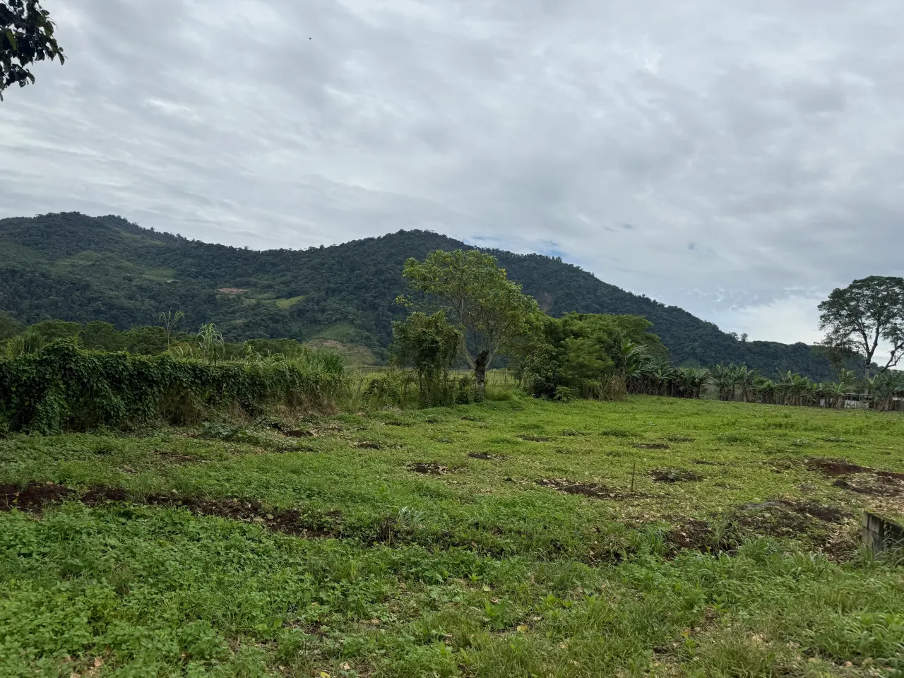 Photo 1 of Land auction in SANTIAGO, Paraíso, Cartago