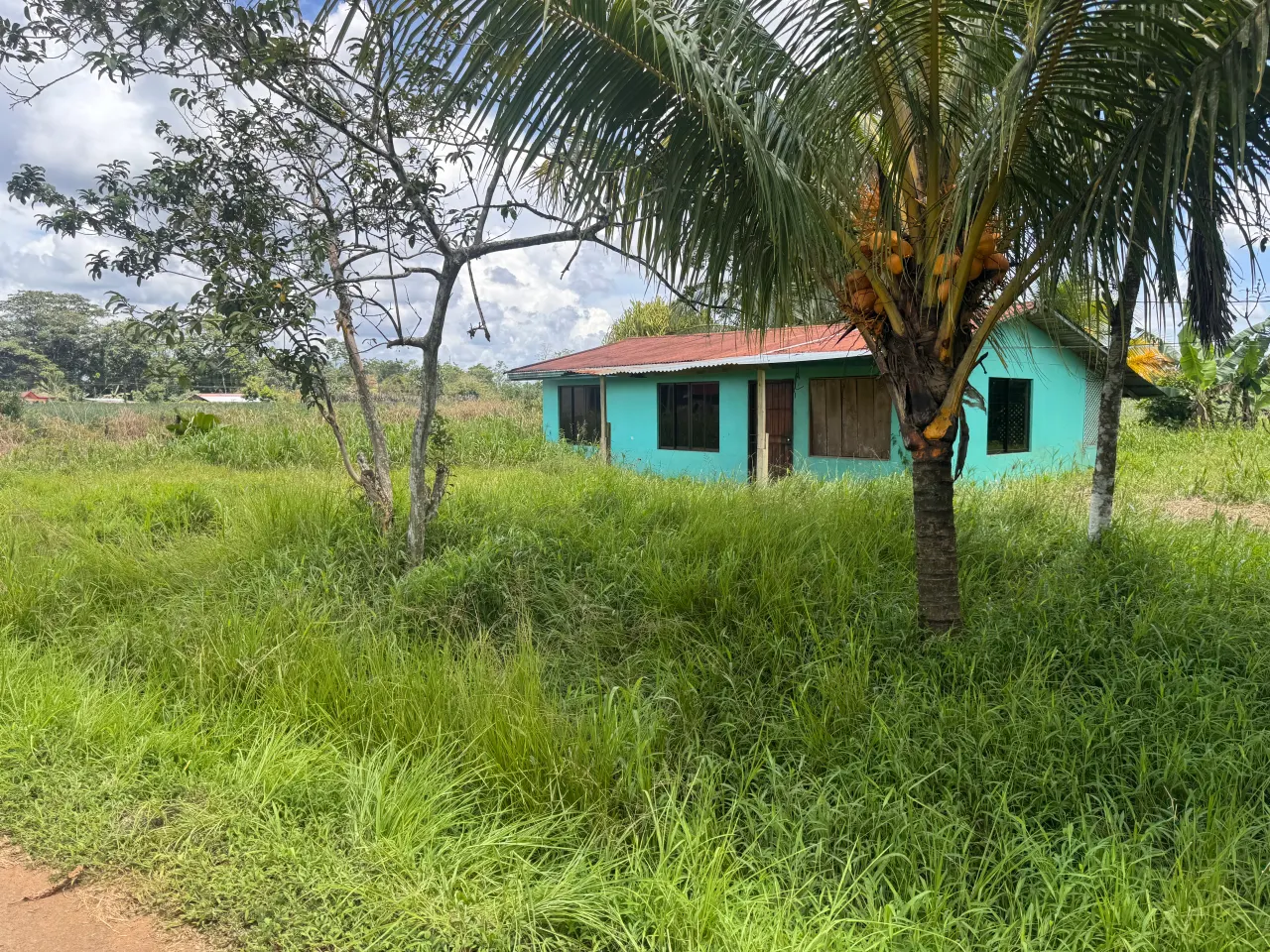Photo 1 of House or apartment auction in PITAL, San Carlos, Alajuela