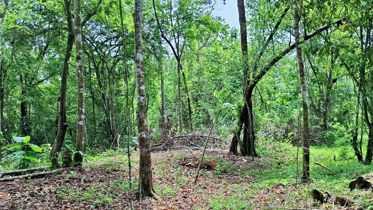 Fotografía 1 de Remate bancario de lote en Parrita, Puntarenas