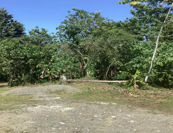 Photo 1 of Land for sale in Puerto Jiménez, Puntarenas