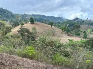 Fotografía 1 de Remate bancario de lote en Pejibaye, Pérez Zeledón, San José