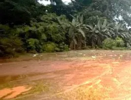 Fotografía 1 de Remate bancario de lote en Volcán, Buenos Aires, Puntarenas
