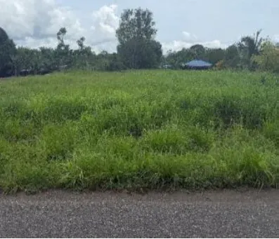 Photo 1 of Land auction in PUERTO JIMÉNEZ, Golfito, Puntarenas