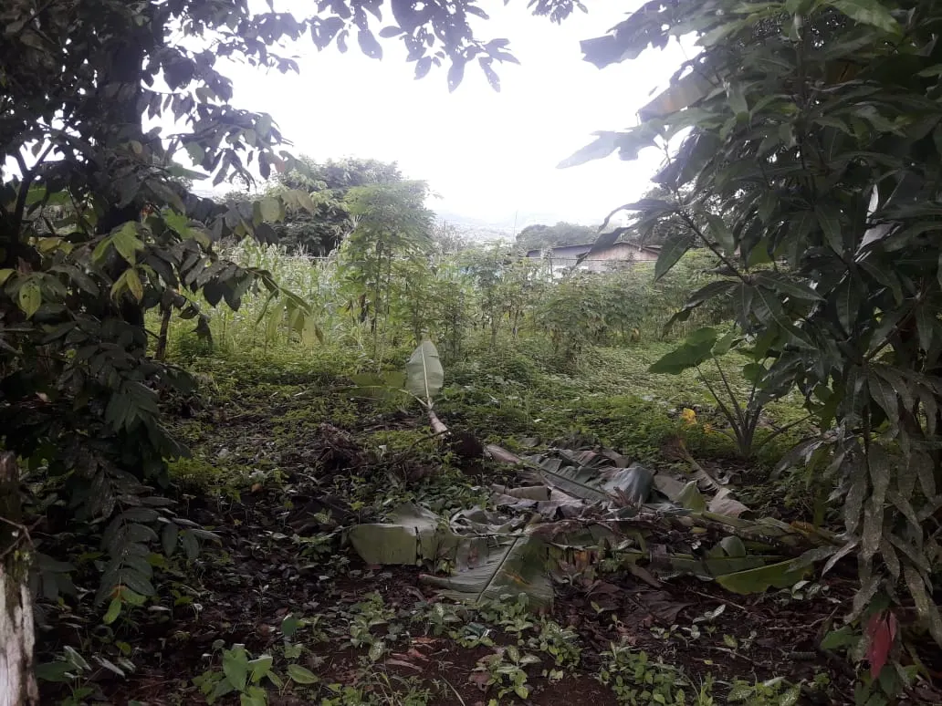 Fotografía 1 de Venta de lote en Cote, Guatuso, Alajuela