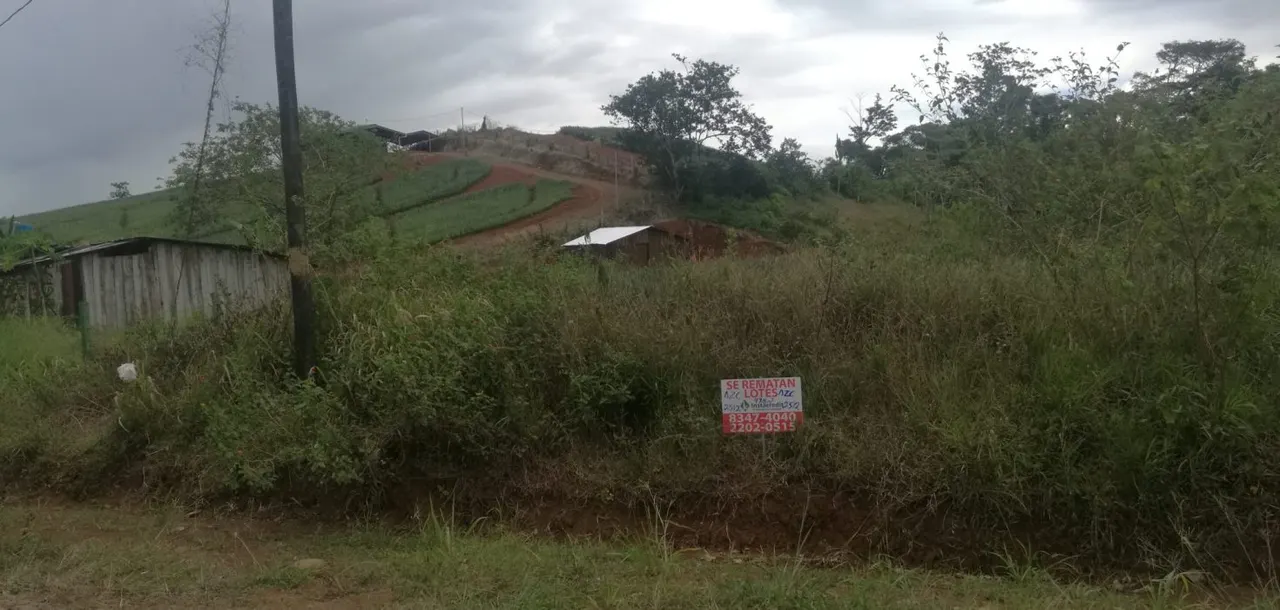 Photo 1 of Land for sale in Pital, San Carlos, Alajuela
