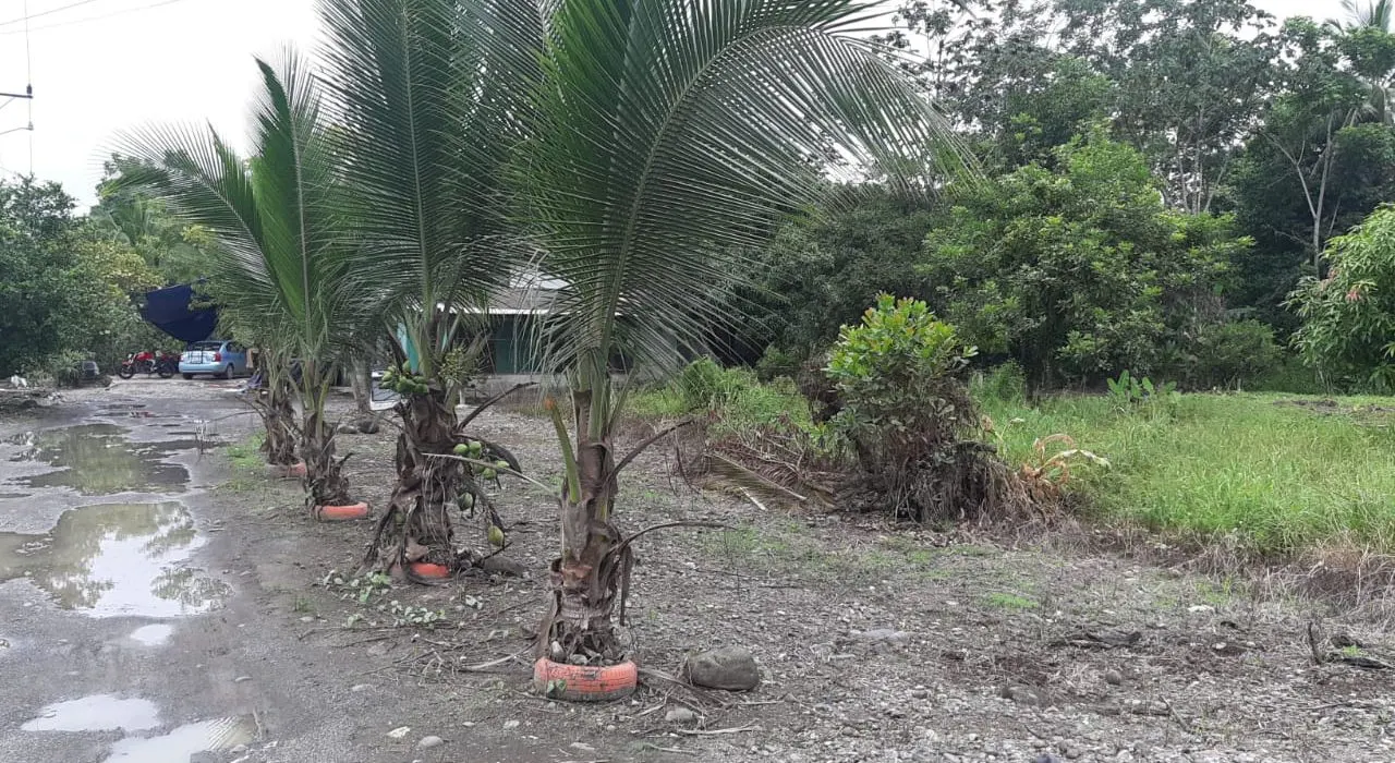 Fotografía 1 de Venta de lote en Batan, Matina, Limón