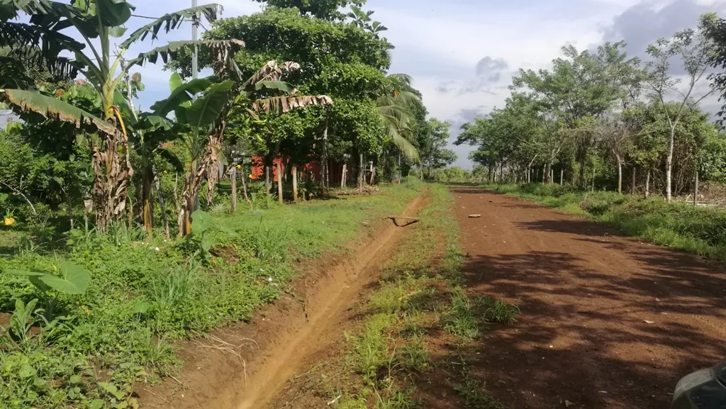 Photo 1 of Land for sale in Caño Negro, Los Chiles, Alajuela