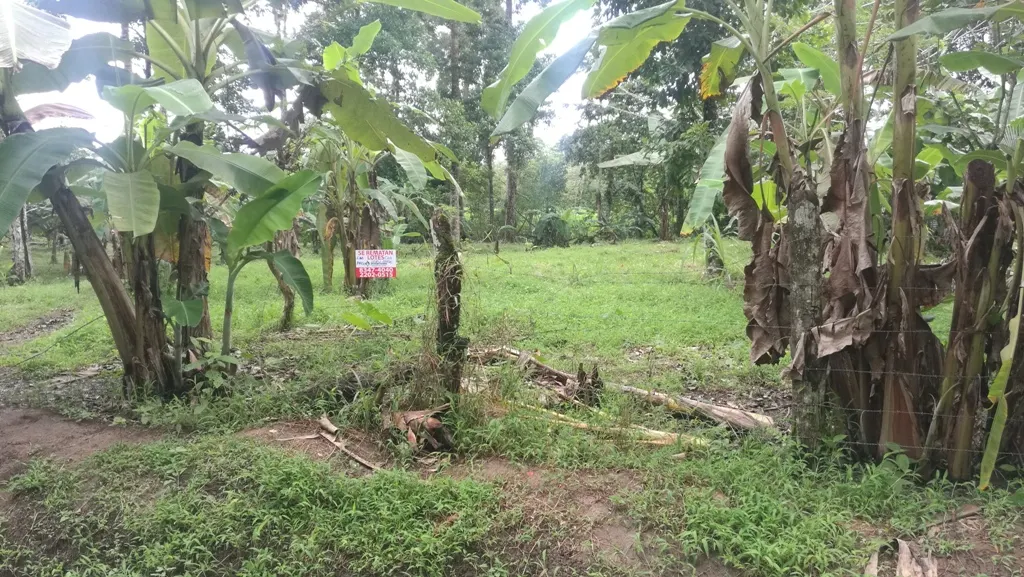 Fotografía 1 de Venta de lote en Jazmines A, Upala, Alajuela