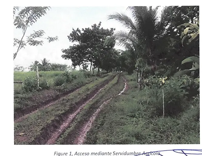 Fotografía 1 de Venta de lote en Los Chiles, Alajuela