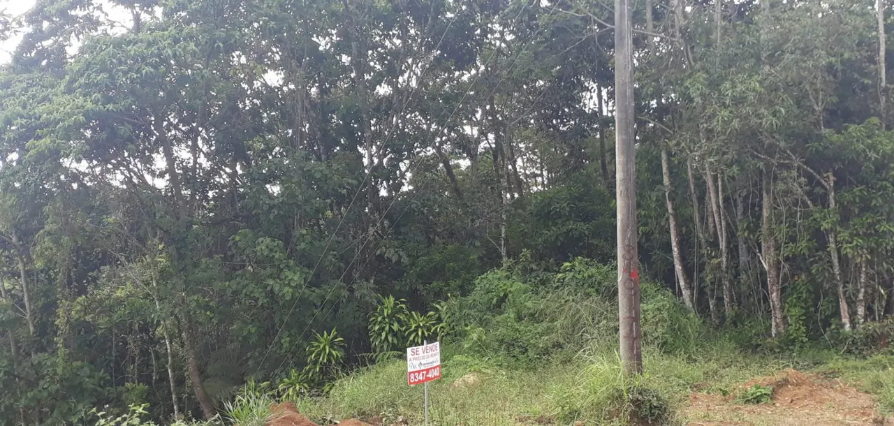 Photo 1 of Land for sale in Potrero Grande, Buenos Aires, Puntarenas