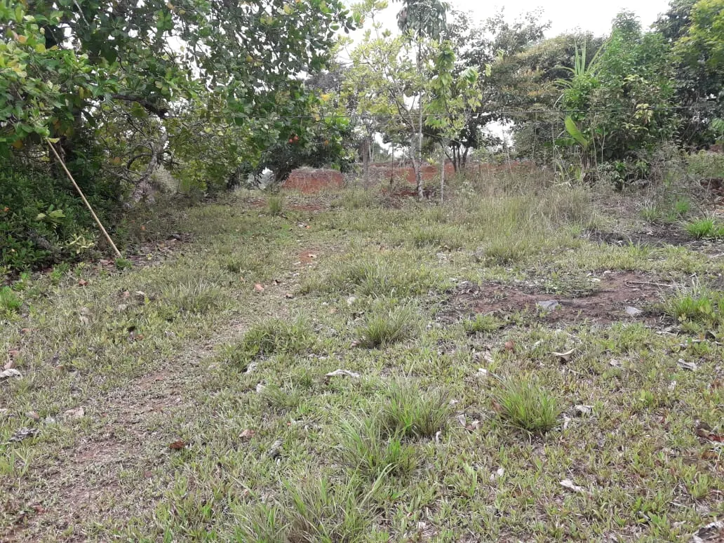 Fotografía 1 de Venta de lote en Upala, Alajuela