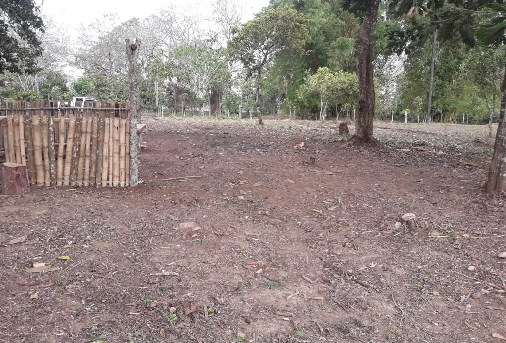 Photo 1 of Land for sale in Yolillal, Upala, Alajuela