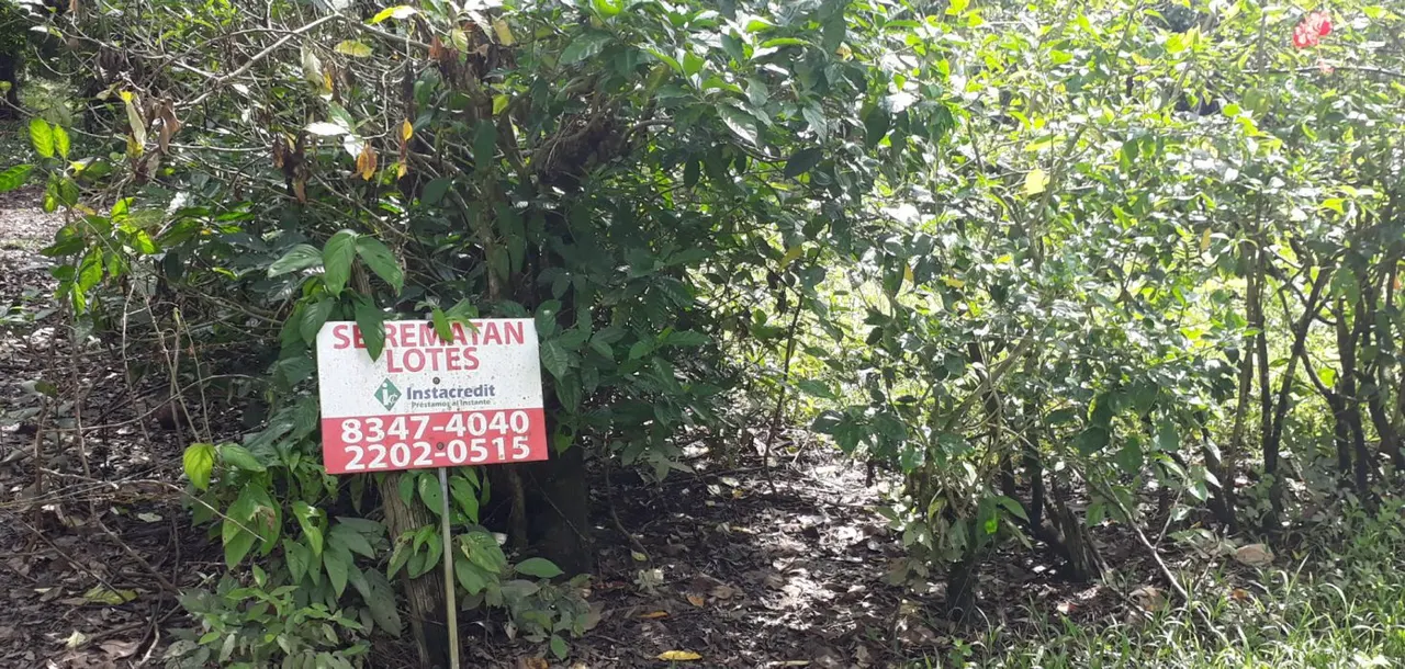 Fotografía 1 de Venta de lote en Laurel, Corredores, Puntarenas