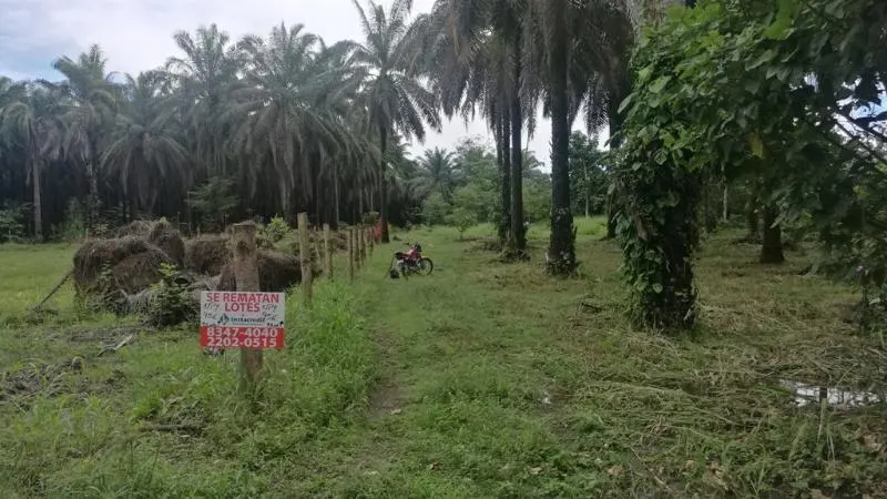 Fotografía 1 de Venta de lote en Pavon, Golfito, Puntarenas