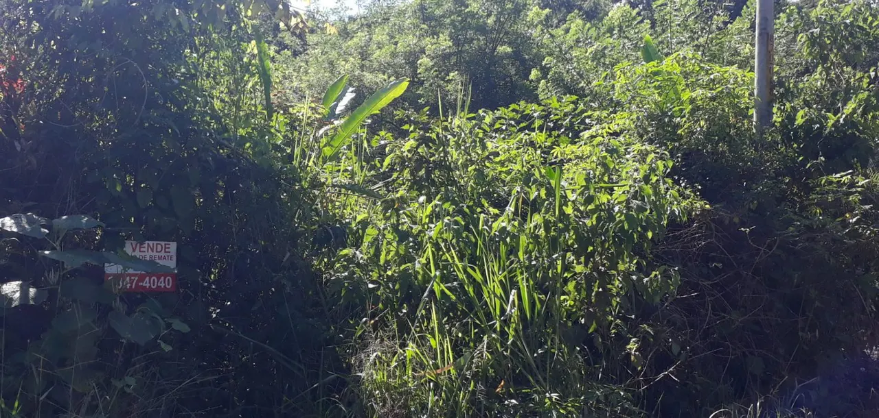 Fotografía 1 de Venta de lote en Pérez Zeledón, San José