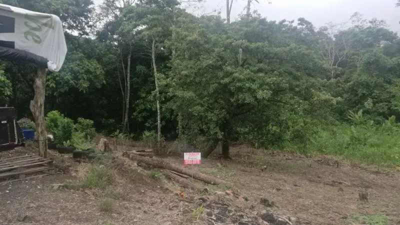 Photo 1 of Land for sale in Las Parcelas, San Carlos, Alajuela