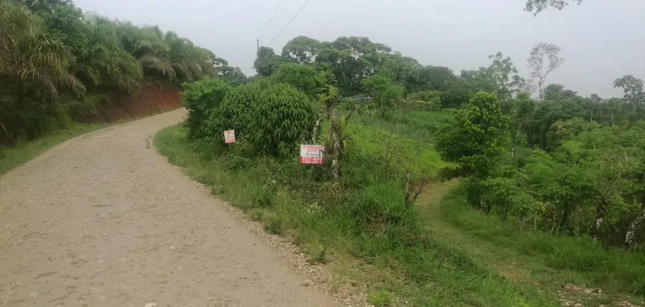 Fotografía 1 de Venta de lote en Coto Brus, Puntarenas
