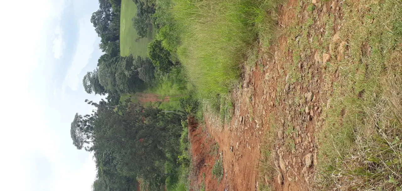 Photo 1 of Land for sale in Alto Rosario, Pérez Zeledón, San José