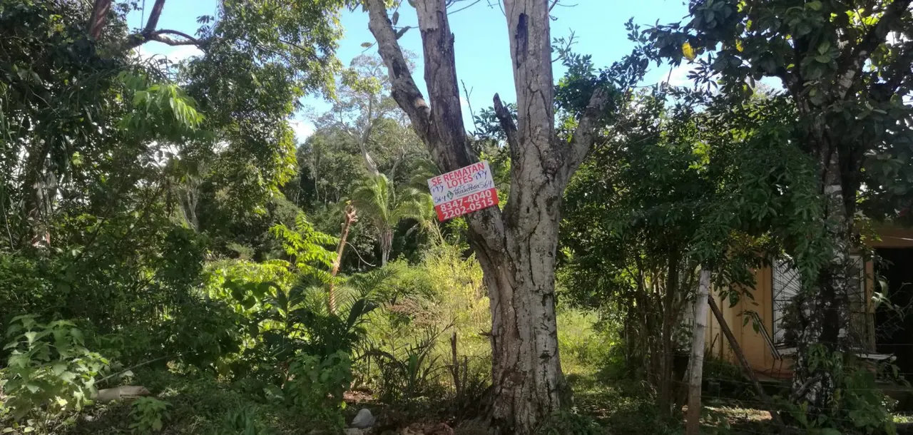Fotografía 1 de Venta de lote en Puntarenas