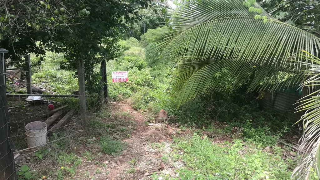 Fotografía 1 de Venta de lote en Puntarenas