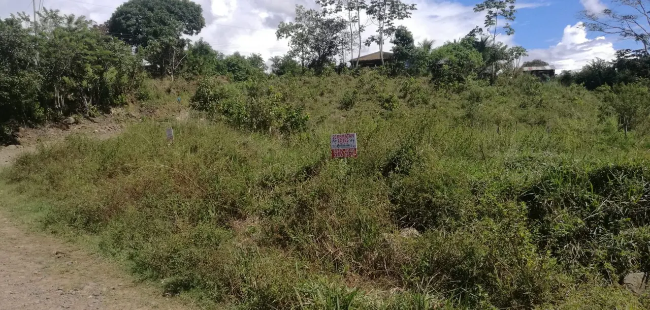 Fotografía 1 de Venta de lote en Potrero Grande, Buenos Aires, Puntarenas