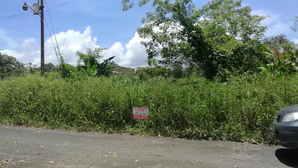 Fotografía 1 de Venta de lote en Las Delicias, Upala, Alajuela