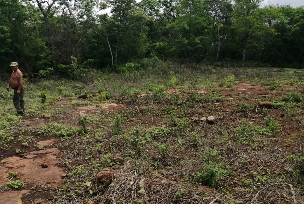 Photo 1 of Land for sale in Colonia Bolaños, La Cruz, Guanacaste