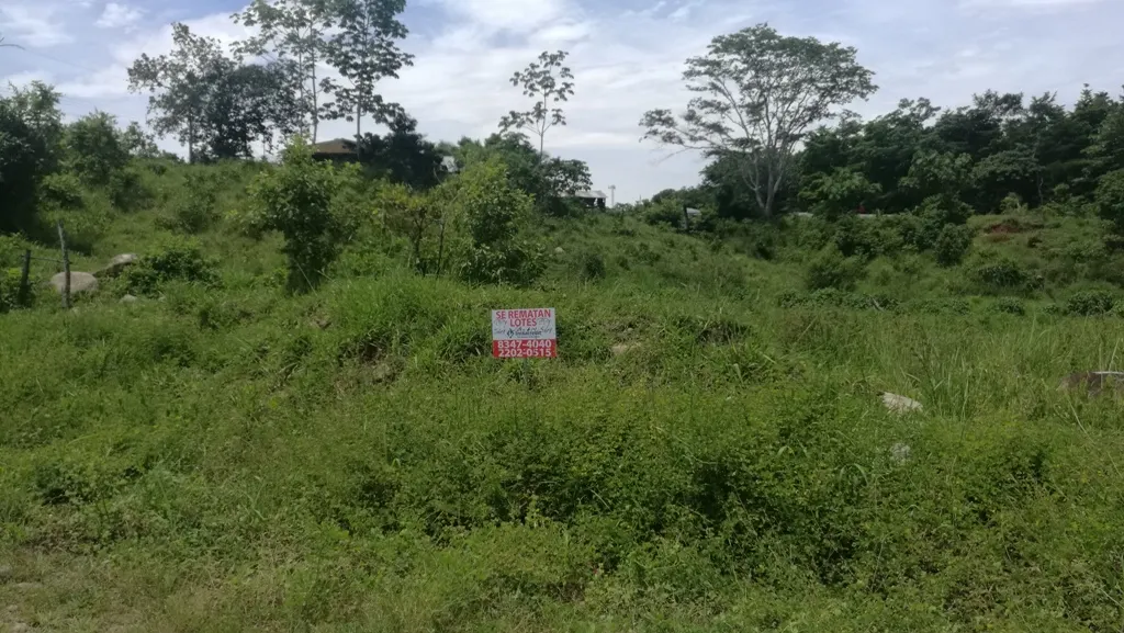 Photo 1 of Land for sale in Puntarenas