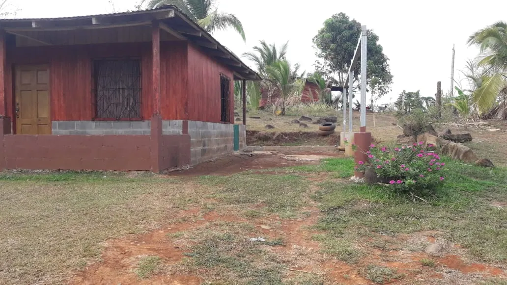 Photo 1 of Land for sale in Alajuela