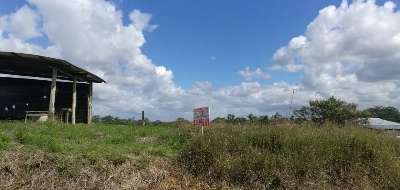 Fotografía 1 de Venta de lote en Alajuela