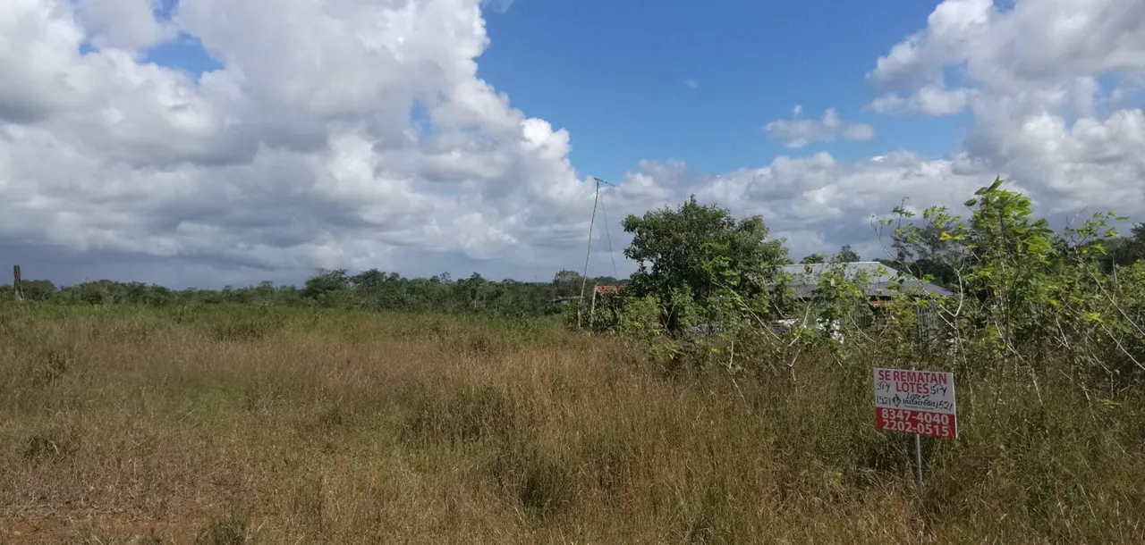 Fotografía 1 de Venta de lote en San Carlos, Alajuela