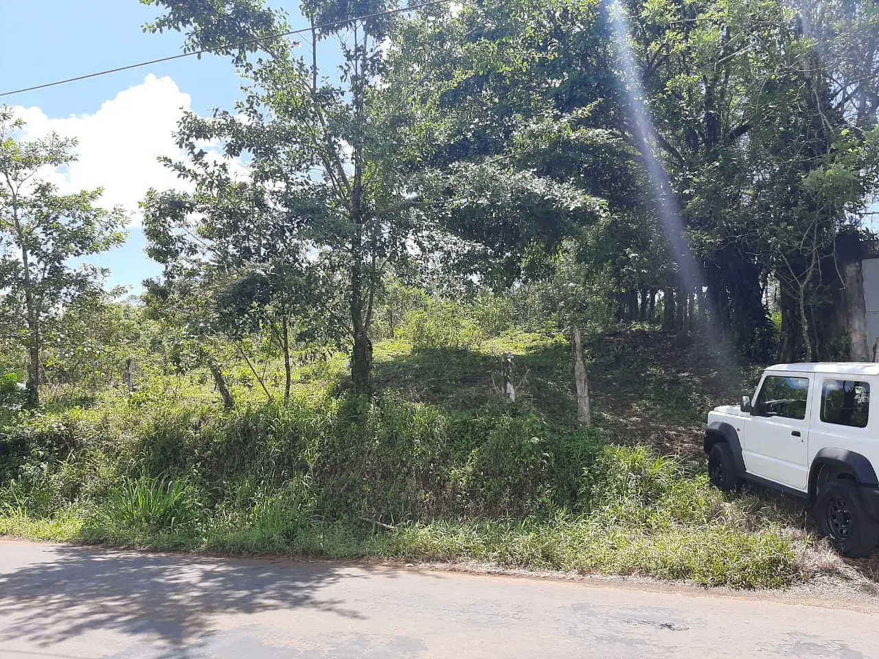 Fotografía 1 de Venta de lote en Alajuela