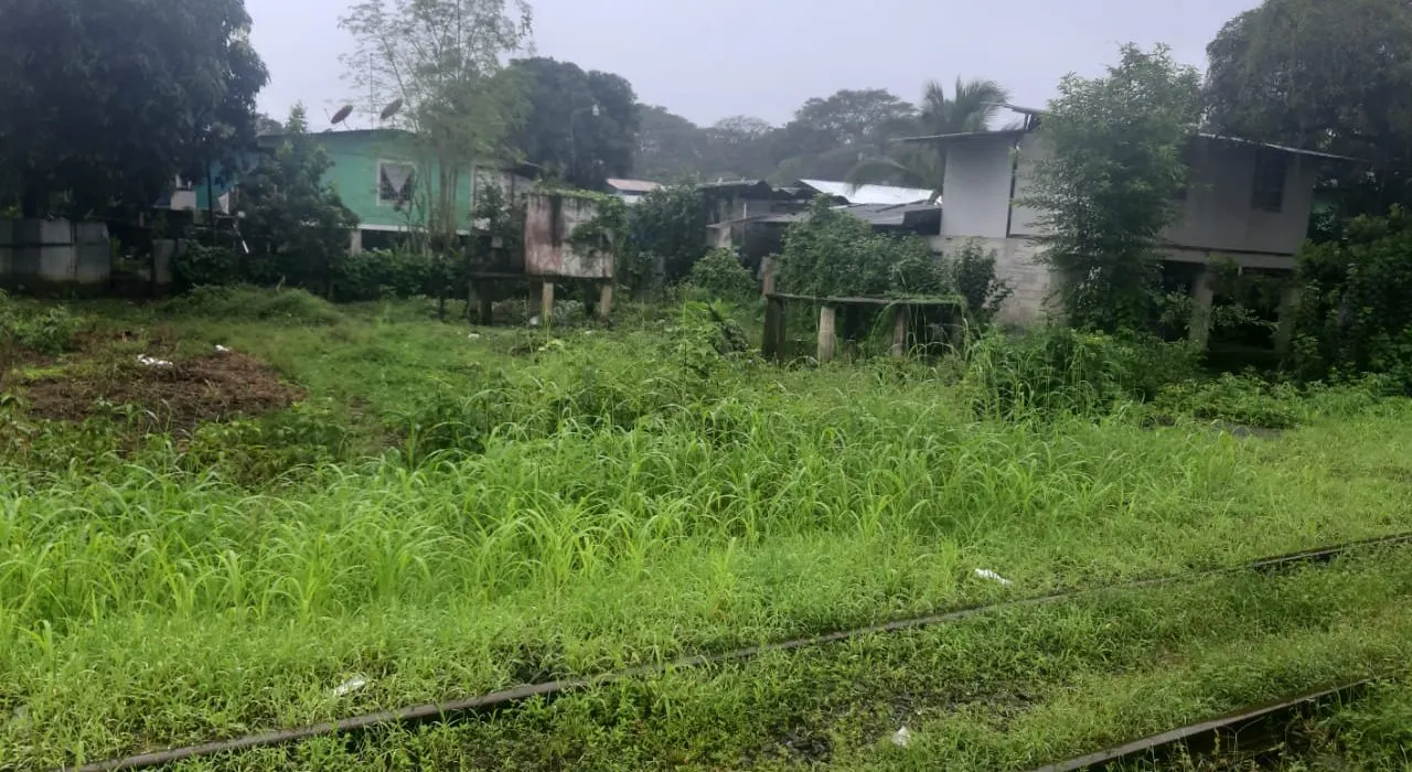 Photo 1 of Land for sale in Matina, Limón