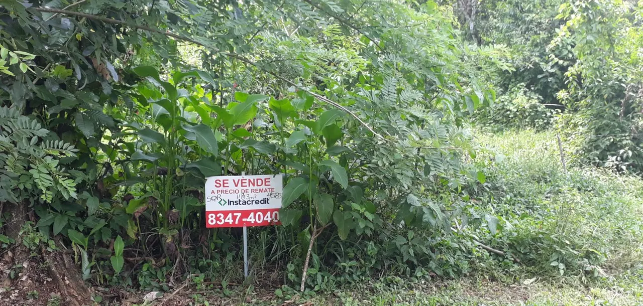 Fotografía 1 de Venta de lote en San Ramón, Alajuela