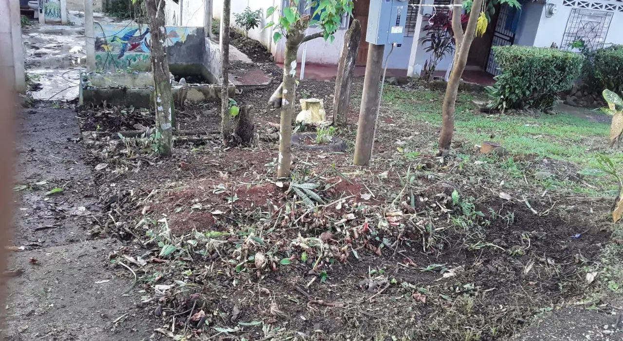 Fotografía 1 de Venta de lote en Cutris, San Carlos, Alajuela