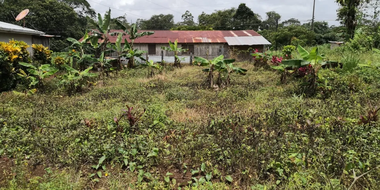 Fotografía 1 de Venta de lote en Dos Rios, Upala, Alajuela