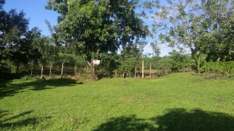 Fotografía 1 de Venta de lote en La Rita, Pococí, Limón