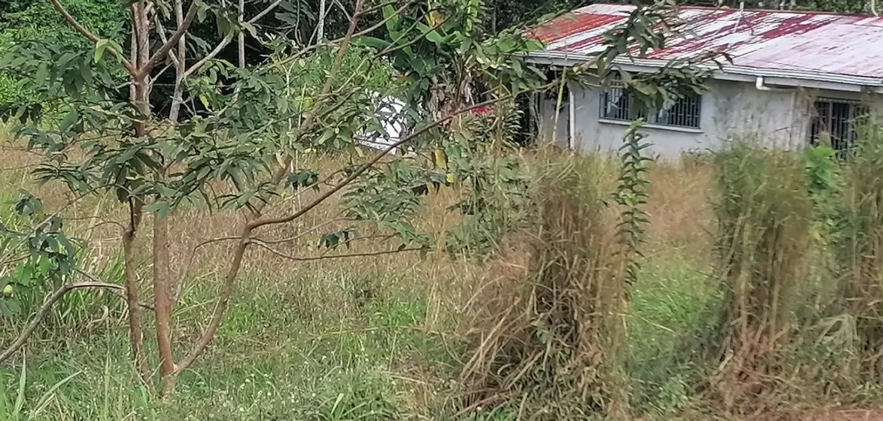 Fotografía 1 de Venta de lote en Guatuso, Alajuela