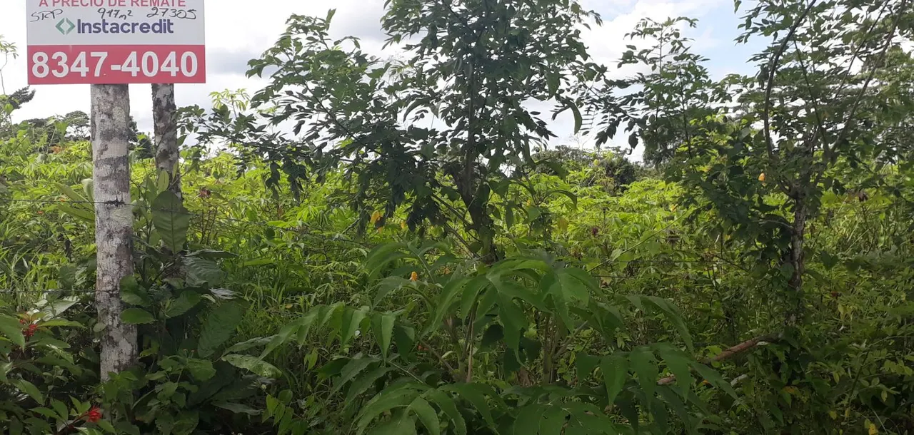 Photo 1 of Land for sale in San Jorge, Los Chiles, Alajuela
