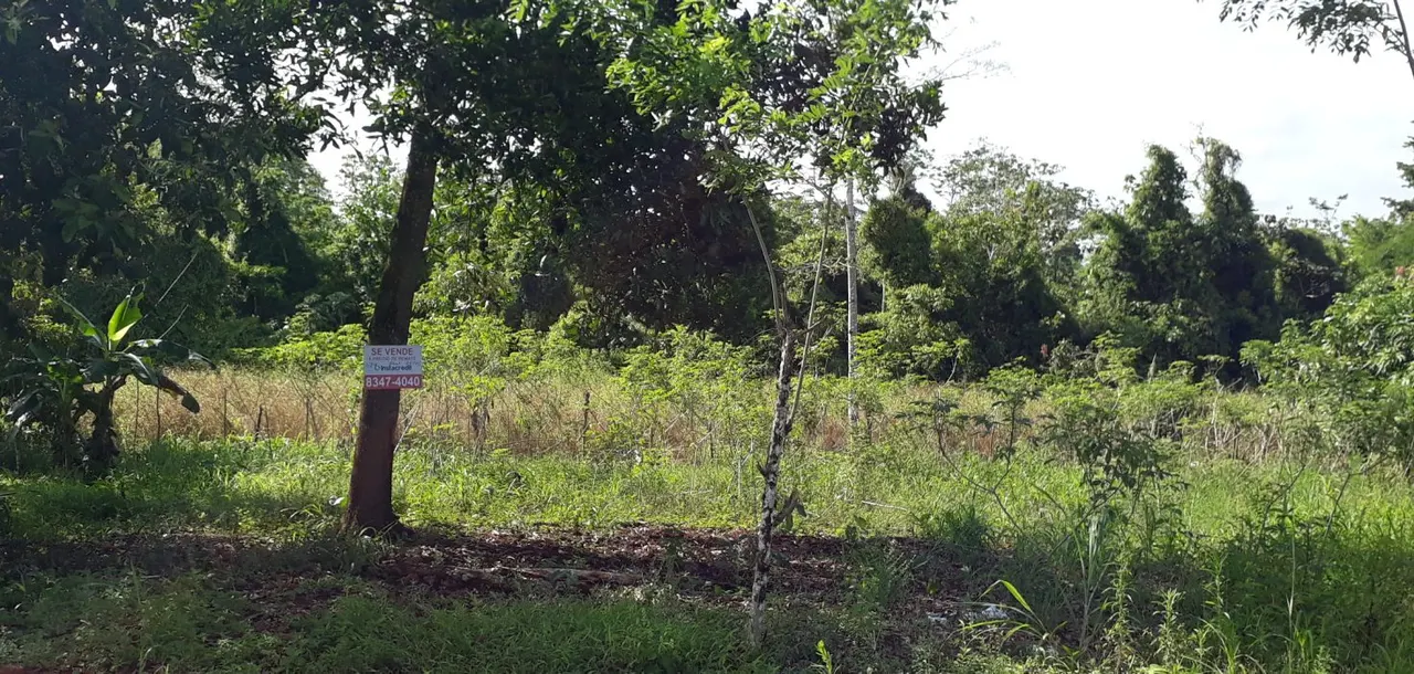 Photo 1 of Land for sale in El Amparo, Los Chiles, Alajuela