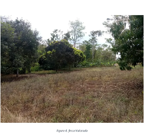 Fotografía 1 de Venta de lote en El Amparo, Los Chiles, Alajuela