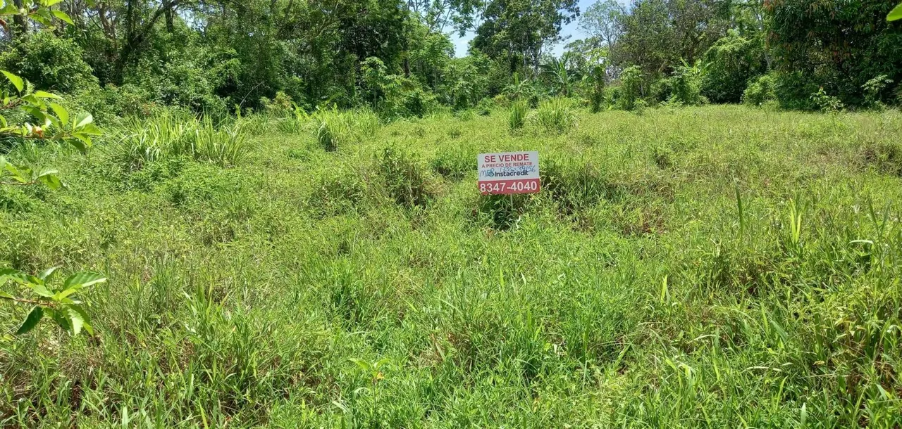Fotografía 1 de Venta de lote en San Ramón, Alajuela